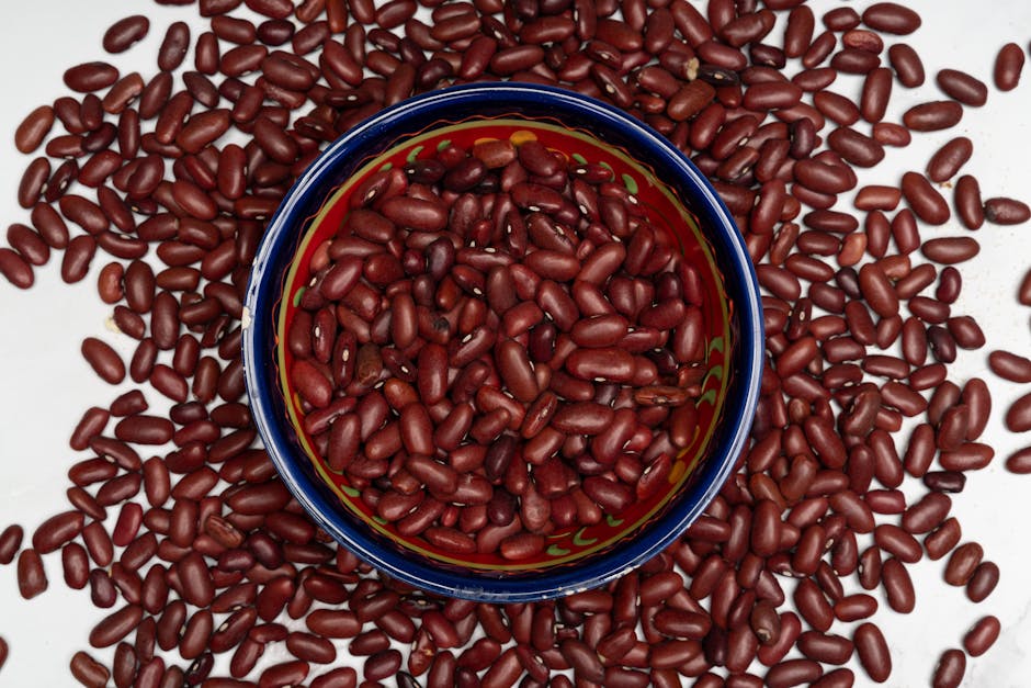 5 Essential Habits and Foods for Kidney Health