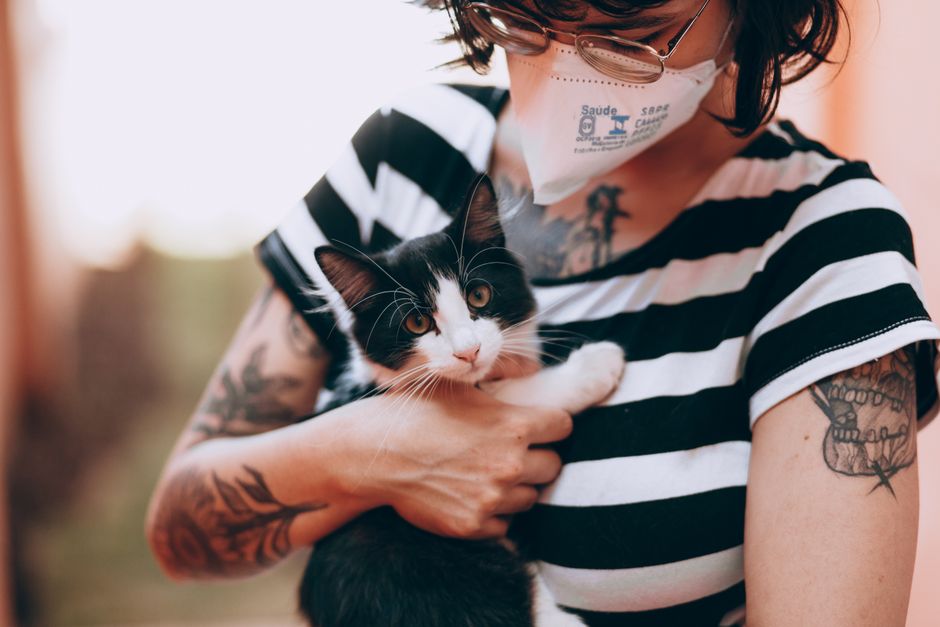 Cat Health Tips for New Owners: Nutrition, Vet Care, and Warning Signs