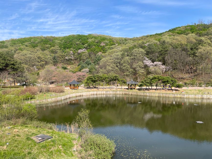 The Perfect Healing Experience at Jangtaesan Recreational Forest